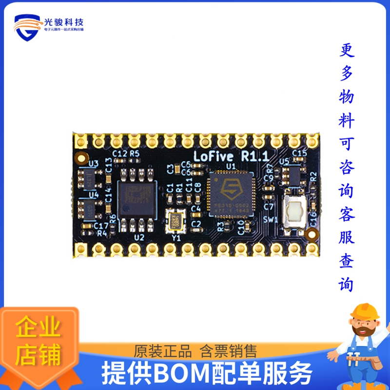 LOFIVE-R1【SIFIVE FE310-G002 RISC-V DEV】嵌入式MCU、DSP评估