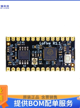 LOFIVE-R1【SIFIVE FE310-G002 RISC-V DEV】嵌入式MCU、DSP评估