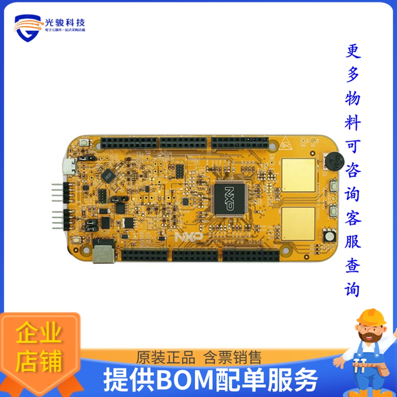 S32K144EVB-Q100【S32K144 EVAL BRD】嵌入式MCU、DSP评估板