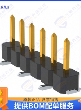 PM20206VBNN 连接器CONN HEADER SMD 6POS 2.54MM