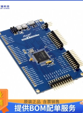 ATSAM4N-XPRO【SAM4N XPLAINED PRO ATSAM4N EVAL】嵌入式MCU、DS