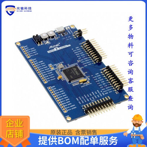 ATSAM4N-XPRO【SAM4N XPLAINED PRO ATSAM4N EVAL】嵌入式MCU、DS