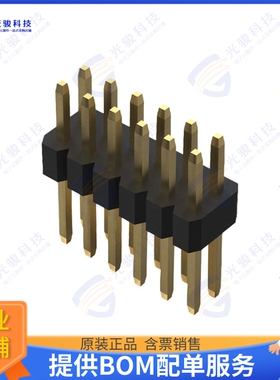 BC035-12-A-0200-0300-L-G 连接器12W, 1.0MM PITCH PIN HDR, DIL