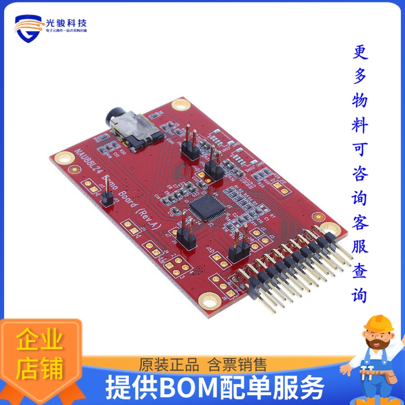 NL-NAU88L24I【DEMO BOARD FOR NAU88L24IG】评估和演示板套件