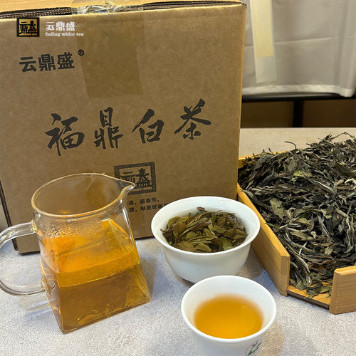 2023年福鼎荒山白牡丹500g
