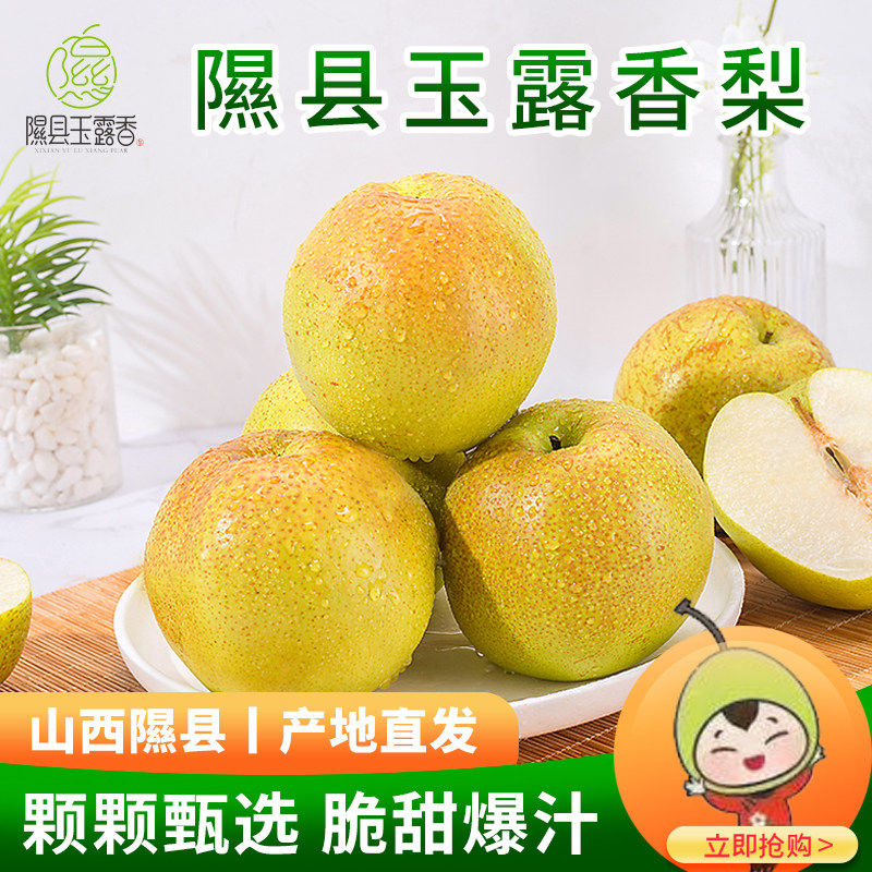 （隰县发货）山西隰县正宗玉露香梨小西天新鲜水果礼盒整箱包邮