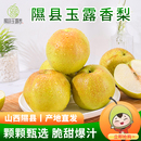 包邮 山西隰县正宗玉露香梨小西天新鲜水果礼盒整箱 隰县发货