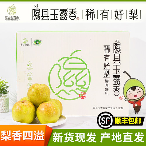 山西隰县玉露香梨特级大果