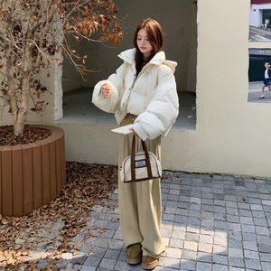 韩版短款羽绒服女2025冬季新款设计感小个子立领面包服保暖外套图片