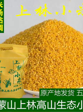 临朐上林小米春谷小米小米黄小米月子米2025年新米五斤小米