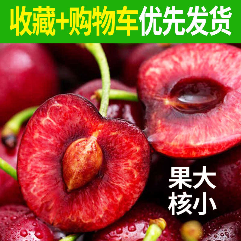 州田源1500美早烟台樱桃