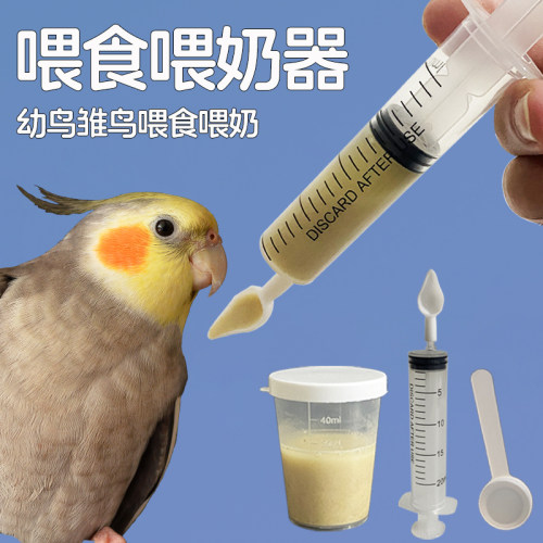 鹦鹉喂食器喂奶勺幼鸟针管喂养