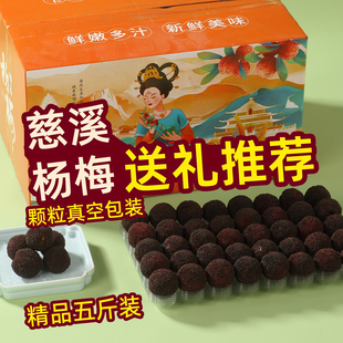 5斤装珍品级 新鲜杨梅特甜余姚慈溪荸荠杨梅水果现摘现发礼盒装