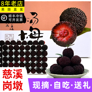 宁波慈溪余姚杨梅新鲜孕妇当季鲜果送礼黑炭东魁荸荠水果礼盒顺丰