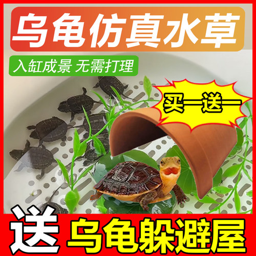 仿真水草快速造景无需打理