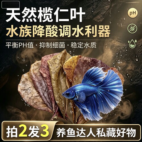 鱼缸斗鱼榄仁叶乌龟水族懒人调节