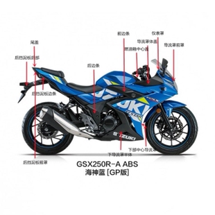 适用铃木GSX250R-A全车塑料件左右导流罩仪表罩挡泥板GSX250外壳