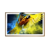 Экран живописи Boe S2 BOE E2 -тип бумажного экрана E1S Электронный альбом Электронный альбом цифровой фазовый рамный каркас коробка телевизионная плеера