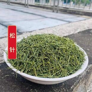 秦岭深山老树马尾松针干货可泡水自然生长