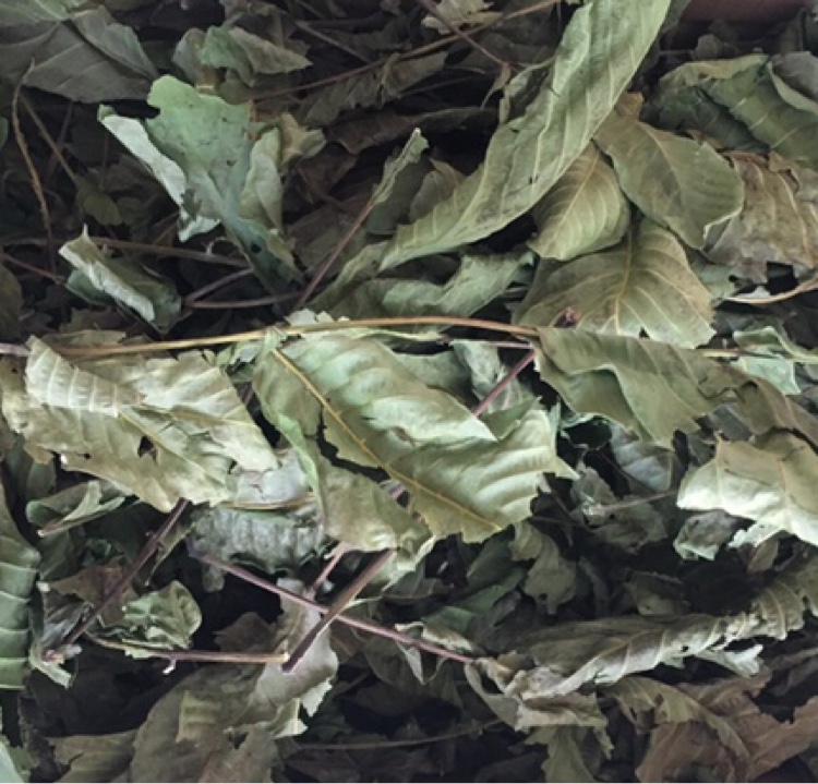 其他安徽中药材散装中药材薄利