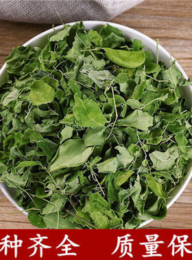 中药材辣木叶包邮 辣木干叶片自然晾晒辣木叶茶云南辣木籽叶