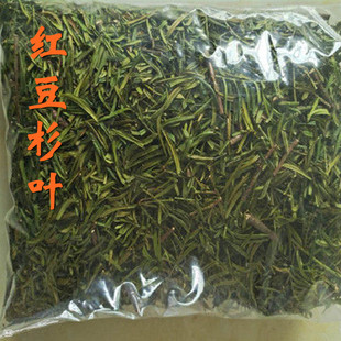 红豆杉树叶子干货含紫杉醇中药材 有根果皮500克包邮