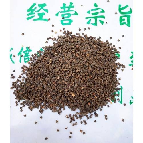 中药材 黄蜀葵子 黄蜀葵籽新货