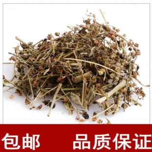 中药材 精选无硫  仙桃草 蚊母草 接骨仙桃草 包邮
