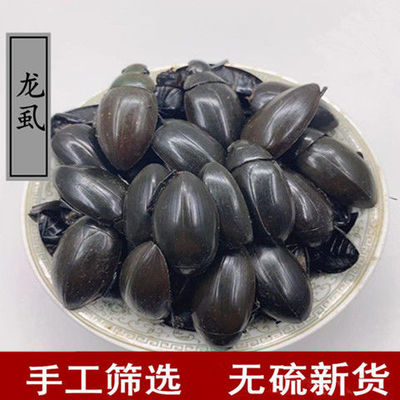 中药材 龙虱 黑龙虱 水鳖虫 射尿龟 正品另有土元水蛭蝎子