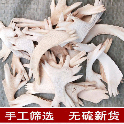生鳖甲 鳖下甲 甲鱼壳非野生中