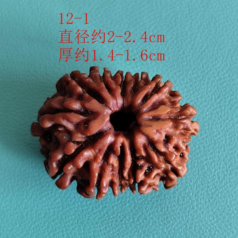 尼泊尔12十二瓣大金刚菩提子散珠手串手链矮桩原籽老籽改善体弱
