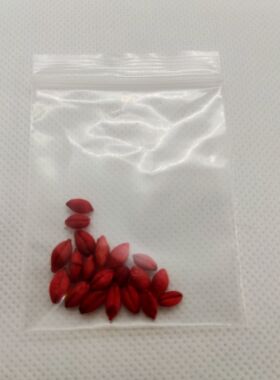 藏传民俗用品染色红色青稞法米在桑耶孜玛护法装藏嘎乌盒佛像用品
