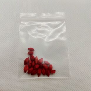 藏传民俗用品染色红色青稞法米在桑耶孜玛护法装藏嘎乌盒佛像用品