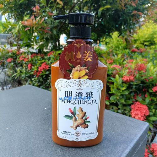 明澄雅正品纯姜固发修护洗发露
