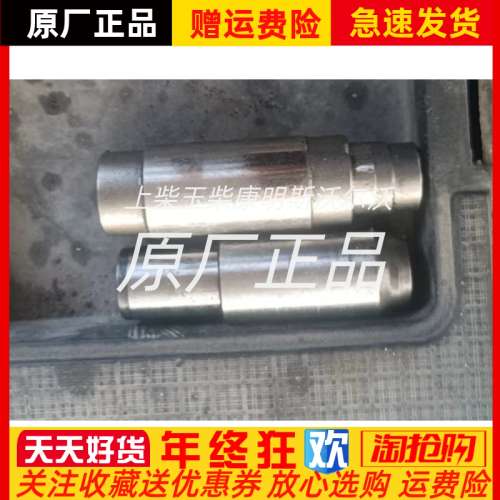 朝柴NGD3.0-CS5D重汽豪沃轻卡170马力链条自动涨紧阀