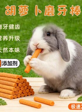 胡萝卜磨牙棒兔子专用宠物幼兔子用品吃的小零食仓鼠荷兰猪龙猫