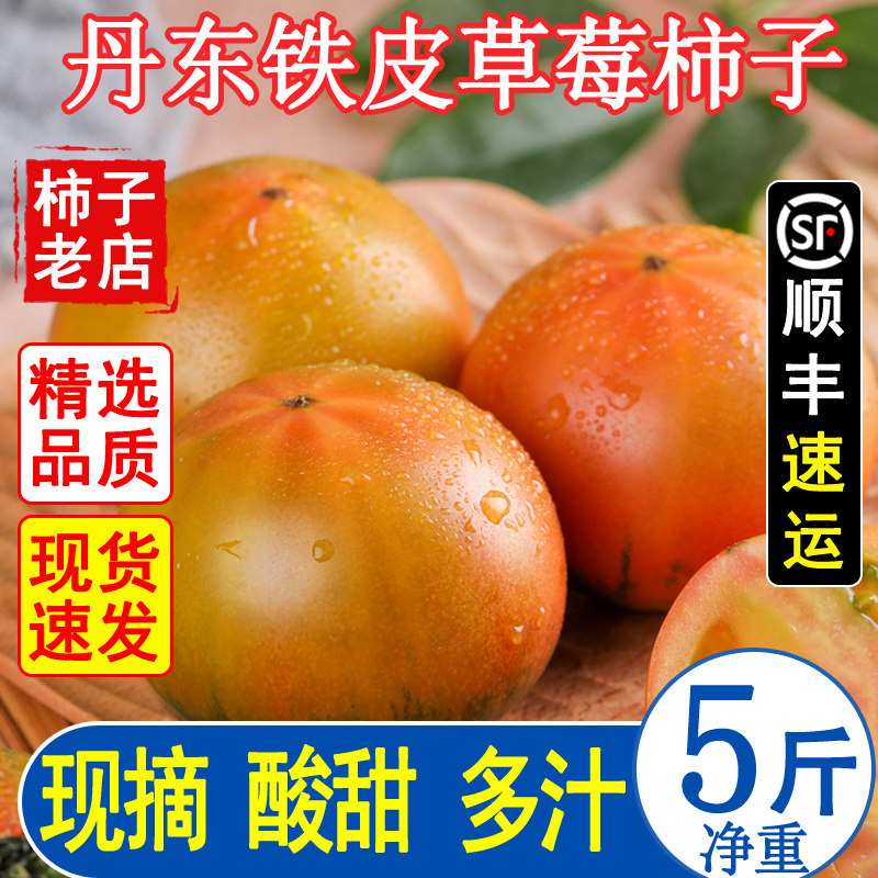 正宗铁皮草莓柿子大连即食新鲜盘锦碱地自然熟绿腚西红柿水果番茄