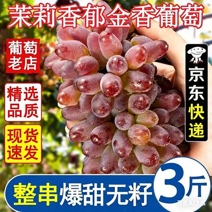 东北现摘茉莉香葡萄新鲜无籽香甜提子当季玫瑰香水果整箱包邮