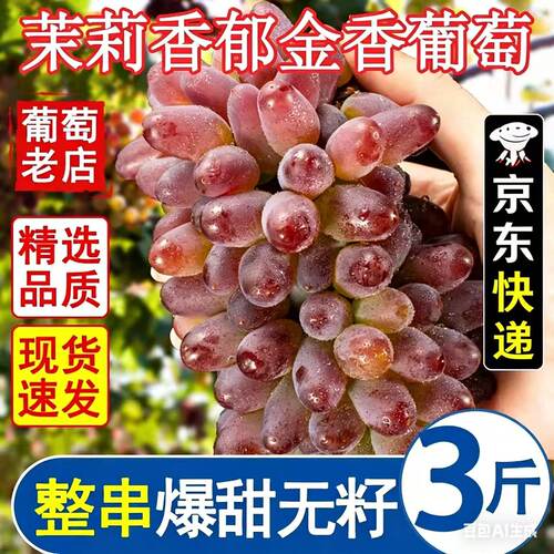 东北现摘茉莉香葡萄新鲜无籽香甜提子当季玫瑰香水果整箱包邮