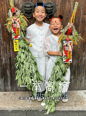 端午节中高考7根新鲜1米艾草花束门挂祈福一举高粽金榜题名挂件
