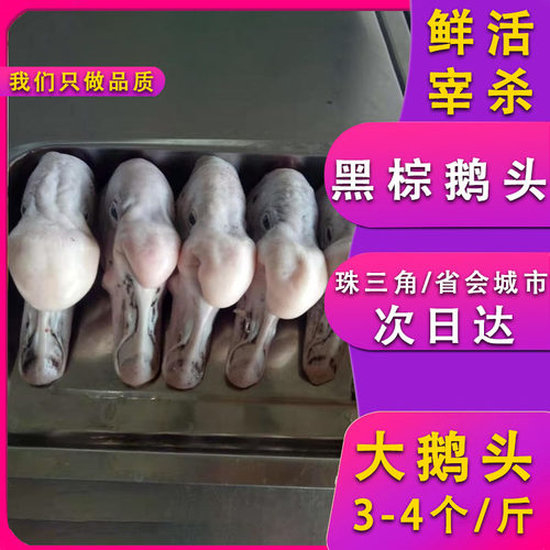 鲜活宰杀新鲜黑棕鹅头