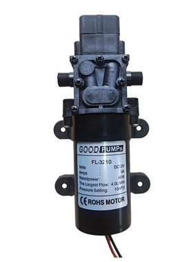 12V18V24V48V60W直流智能水泵英制1/4油泵2分螺纹13mm隔膜泵