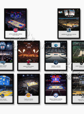 NBA篮球活塞队小牛热火队装饰画