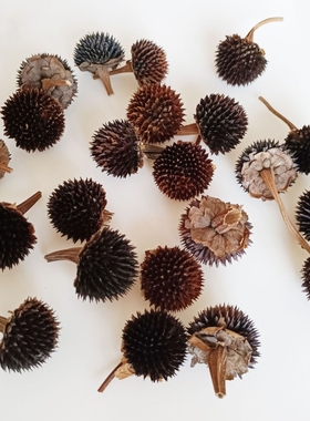 天然黑心菊原生态干花芯香薰材料