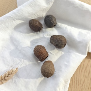 【咕嘟果】进口植物干花果实森系干花环门环相框材料圣诞树装饰品