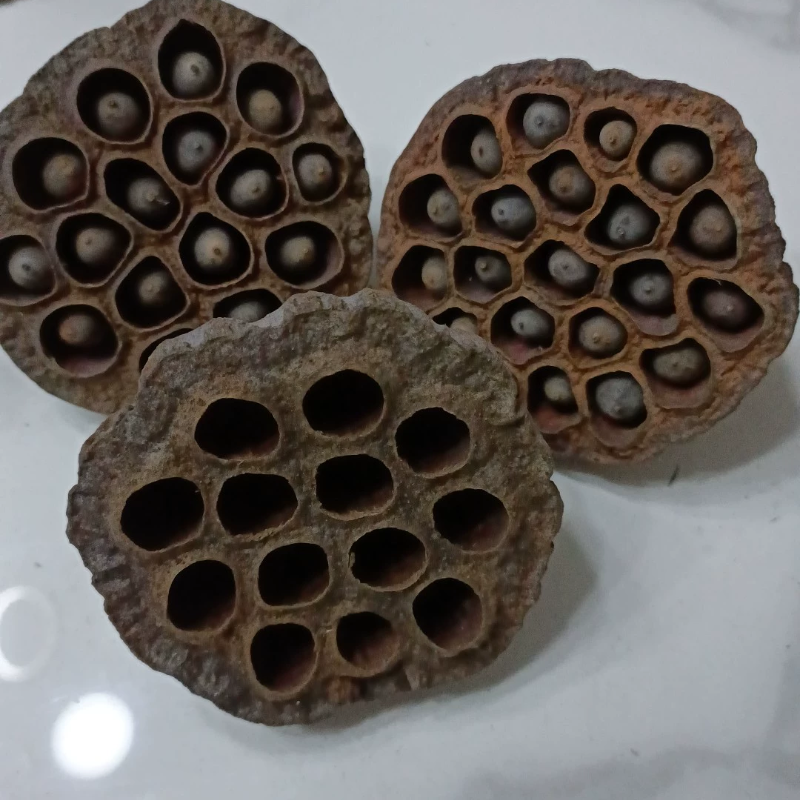 莲蓬带籽干花禅意莲花摆件装饰莲藕中国风干花仿真莲藕莲蓬