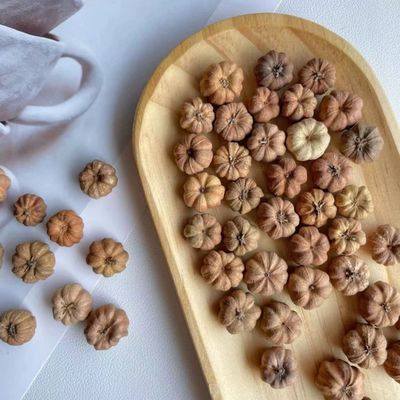 小南瓜干果实森系手工花环