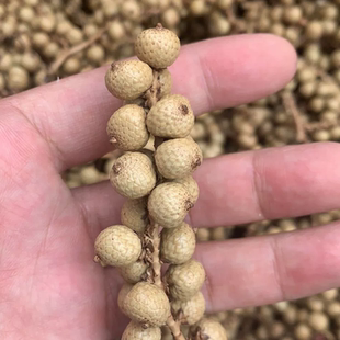 干花diy材料干果珍珠果串香薰蜡烛植物标本手工课干花干枝材料