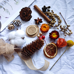 饰果子 天然干果材料叶子标本相框手工diy干花组合材料包圣诞节装