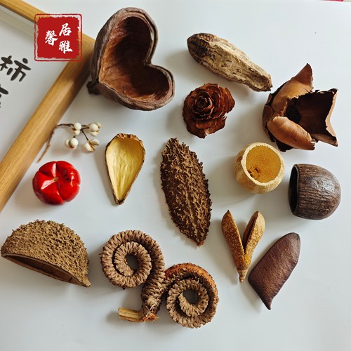 天然植物果壳果实干花套装幼儿园相框diy材料南美鱼缸造景摆件拍